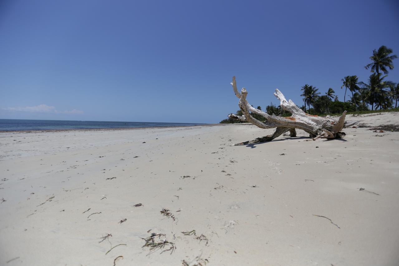 The Beach Crab Resort Pangani Ngoại thất bức ảnh